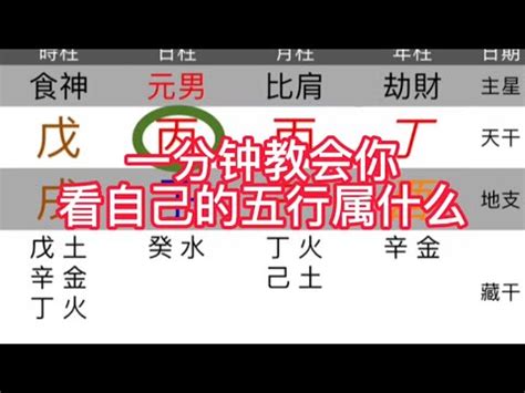 今天五行屬什麼|生辰八字查詢，生辰八字五行查詢，五行屬性查詢